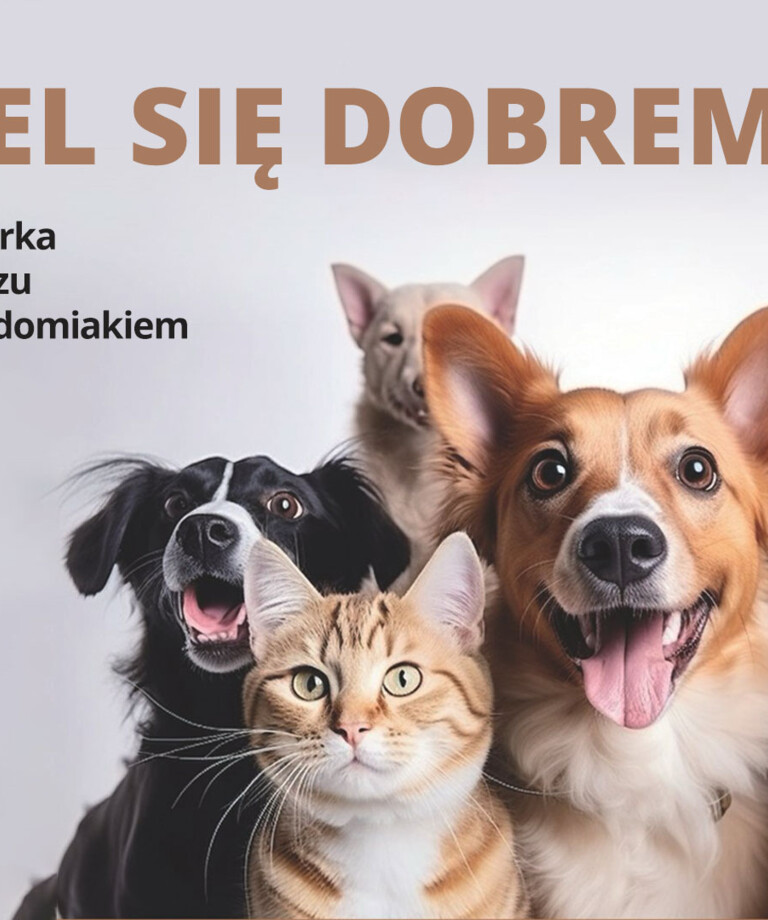 Podziel się dobrem | Weprzyj zbiórkę dla zwierząt podczas meczu z Radomiakiem